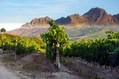 Weingüter in Südafrika