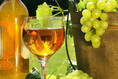 Sauvignon Blanc Weißwein aus Südafrika